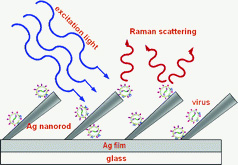 Nanoszálas jelerősítés lézeres vírusazonosításhoz